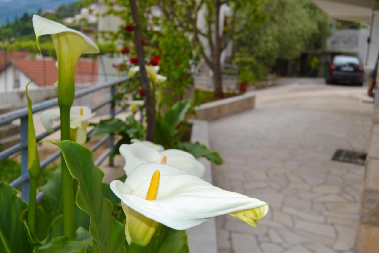 Tivat Apartments ภายนอก รูปภาพ